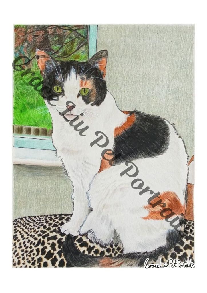 Drawing on a white cat with black and ginger patches sitting on a leopard print surface with a view of the garden through the window in the top left quarter. Grace Liu Pet Portraits watermark across the picture and signature in the bottom right corner.